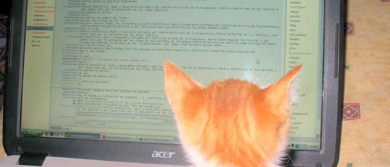 irc-cat